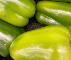 Summer squash seed combo