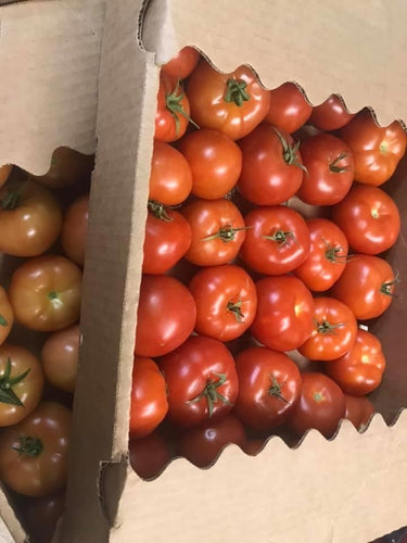 Tomatoes Flat (10#)