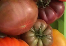 Load image into Gallery viewer, Tomato Cherokee Purple