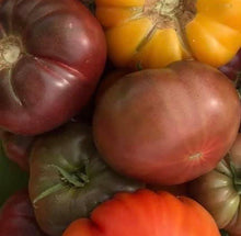 Load image into Gallery viewer, Tomato Cherokee Purple