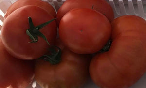 Tomatoes Flat (10#)